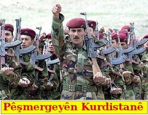 Iran has provided paramilitary Kurdish Peshmerga forces with weapons, ammunition and equipment
