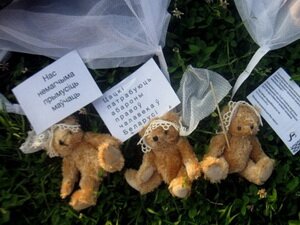 July 4 the Swedish pilot in a small plane having taken off from the territory of Lithuania, dropped on the city of Ivenets (70 km off Minsk), hundreds of teddy bears, with democratic slogans attached to them