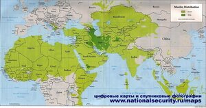 Карта світу: розселення мусульман сунітів і шиїтів