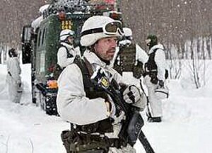 Шведська армія змінить вигляд на прикладі російської. 