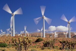 Wind parks in the Gulf are less important as there are actually no powerful winds there